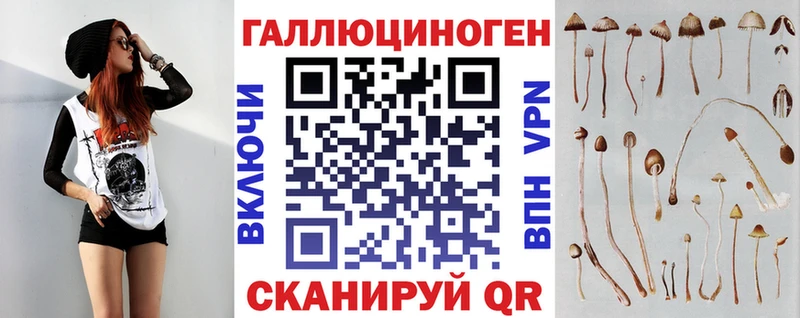 Купить где  Мончегорск  Галлюциногенные грибы Psilocybine cubensis 